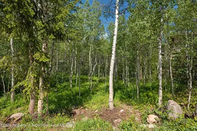 1265 Riverside Drive, Aspen, CO 81611 - Photo 5