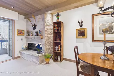 610 S West End Street #G201, Aspen, CO 81611 - Photo 7