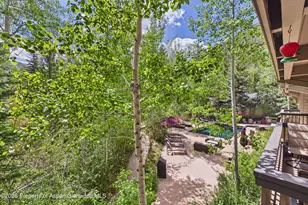 610 S West End St, Aspen, CO 81611 - Photo 15
