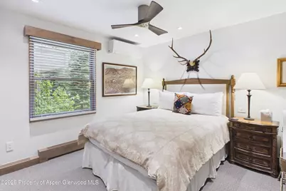 610 S West End Street #G201, Aspen, CO 81611 - Photo 11