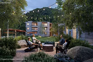610 S West End St, Aspen, CO 81611 - Photo 23