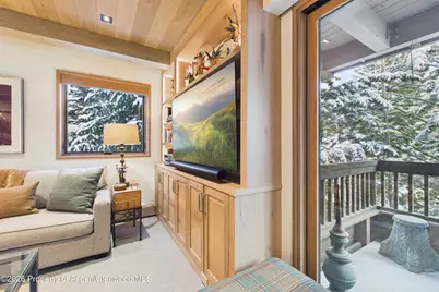 610 S West End Street #G201, Aspen, CO 81611 - Photo 5