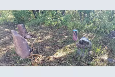 4500 Bear Wallow Lane, Glenwood Springs, CO 81601 - Photo 17