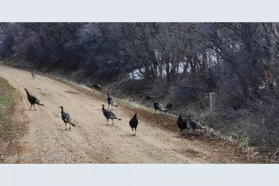 4500 Bear Wallow Lane, Glenwood Springs, CO 81601 - Photo 15