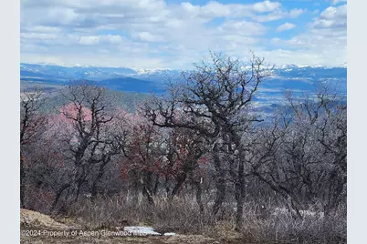 4500 Bear Wallow Lane, Glenwood Springs, CO 81601 - Photo 11