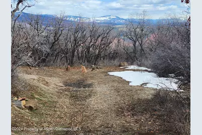 4500 Bear Wallow Lane, Glenwood Springs, CO 81601 - Photo 3
