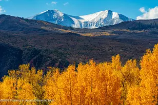 250 Overlook Ridge, Basalt, CO 81621 - Photo 9