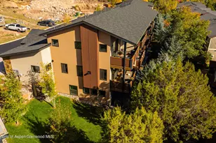 250 Overlook Ridge, Basalt, CO 81621 - Photo 41
