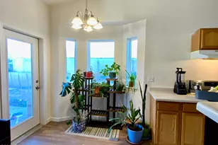 59 Angelica Cir, Battlement Mesa, CO 81635 - Photo 7