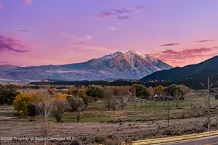 1711 Co Rd 109, Glenwood Springs, CO 81601 - Photo 11