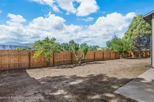 1433 Jays Ave, Rifle, CO 81650 - Photo 27