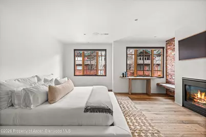 830 E Durant Avenue, Aspen, CO 81611 - Photo 19