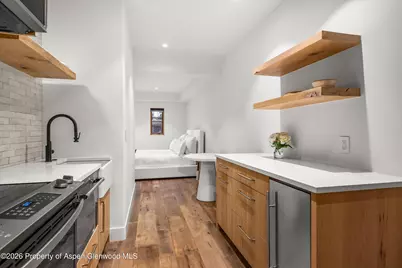 830 E Durant Avenue, Aspen, CO 81611 - Photo 23