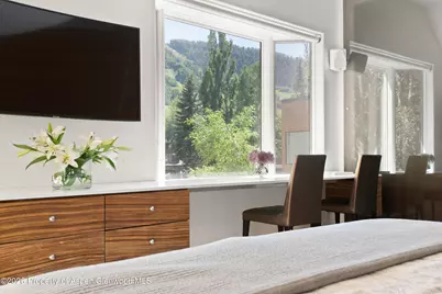 1022 E Hyman Avenue #1 & 2, Aspen, CO 81611 - Photo 9