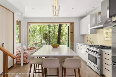 1022 E Hyman Avenue #1 & 2, Aspen, CO 81611 - Photo 3