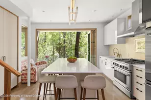 1022 E Hyman Ave, Aspen, CO 81611 - Photo 3