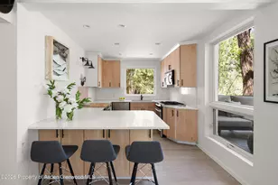 1022 E Hyman Ave, Aspen, CO 81611 - Photo 15