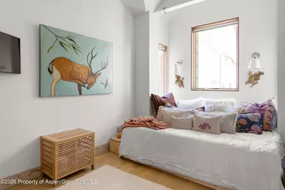 1022 E Hyman Avenue #1 & 2, Aspen, CO 81611 - Photo 11