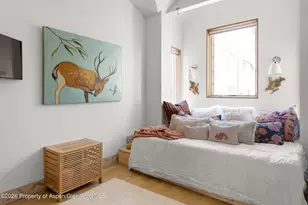 1022 E Hyman Ave, Aspen, CO 81611 - Photo 11