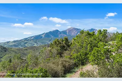 1560 Medicine Bow Road, Aspen, CO 81611 - Photo 37