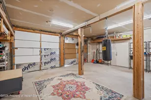 4903 Co Rd 113, Carbondale, CO 81623 - Photo 35