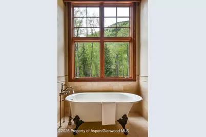 143 N Conundrum Creek Road, Aspen, CO 81611 - Photo 11