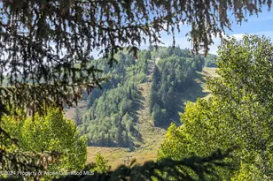 124 E Durant Ave, Aspen, CO 81611 - Photo 13