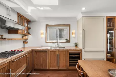 124 E Durant Avenue #Unit 1, Aspen, CO 81611 - Photo 5