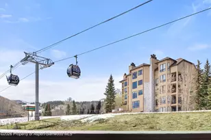 360 Wood Rd, Snowmass Village, CO 81615 - Photo 15