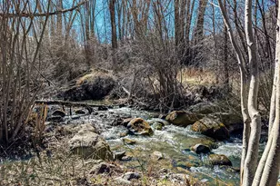 6773 Co Rd 117, Glenwood Springs, CO 81601 - Photo 5