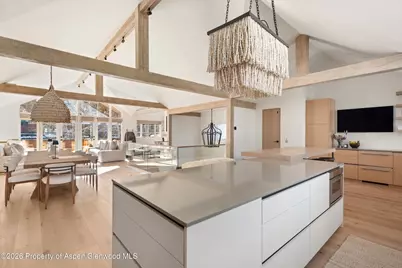 825 E Cooper Avenue, Aspen, CO 81611 - Photo 19