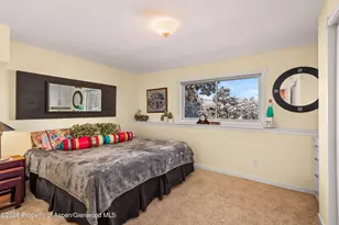 255 Little Pinon, Basalt, CO 81621 - Photo 47
