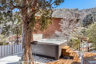 255 Little Pinon, Basalt, CO 81621 - Photo 83