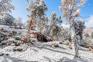255 Little Pinon, Basalt, CO 81621 - Photo 75
