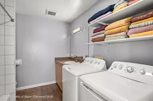 255 Little Pinon, Basalt, CO 81621 - Photo 59