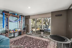 255 Little Pinon, Basalt, CO 81621 - Photo 49