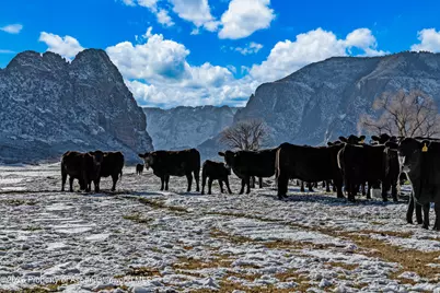 22675 Co-141, Whitewater, CO 81527 - Photo 29