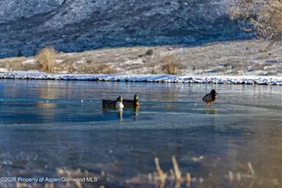 22675 Co-141, Whitewater, CO 81527 - Photo 31