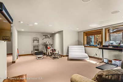 104 Sopris Mesa Drive, Carbondale, CO 81623 - Photo 41