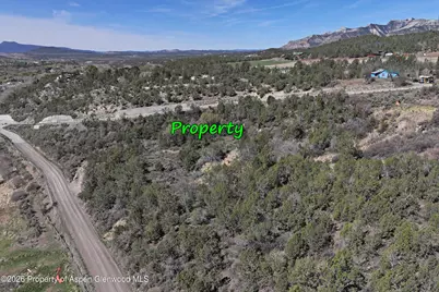 58450 Buzzard Creek Road, Collbran, CO 81624 - Photo 5