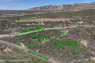 58450 Buzzard Creek Rd, Collbran, CO 81624 - Photo 1