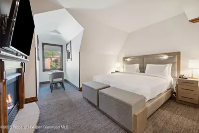 415 E Dean St, Unit 48, Week 8, Aspen, CO 81611 - Photo 17