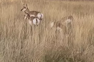 4724 Co Rd 30, Craig, CO 81625 - Photo 53