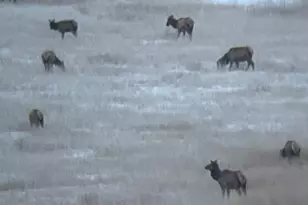 4724 Co Rd 30, Craig, CO 81625 - Photo 49