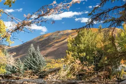 107 Aspen Mountain Road #9, Aspen, CO 81611 - Photo 19