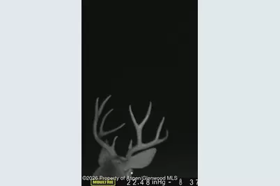 910 Slater Way Road Road, Craig, CO 81625 - Photo 27