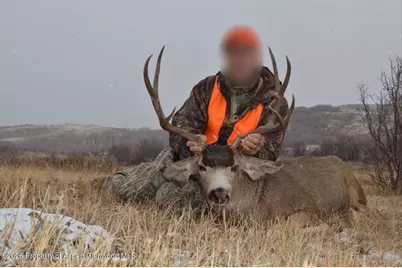 910 Slater Way Road Road, Craig, CO 81625 - Photo 15