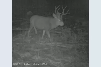 910 Slater Way Road Road, Craig, CO 81625 - Photo 29