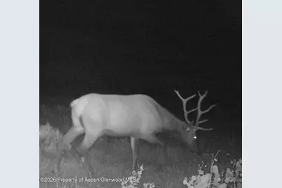 910 Slater Way Road Road, Craig, CO 81625 - Photo 25