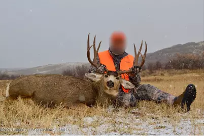 910 Slater Way Road Road, Craig, CO 81625 - Photo 9